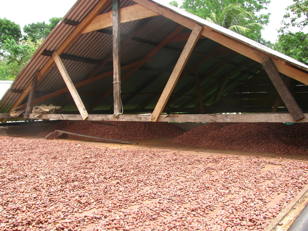 New factory = more chocolate! – Le Cocoa