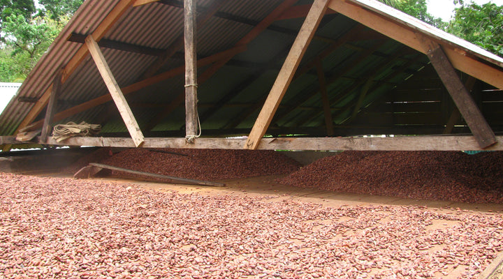 New factory = more chocolate!