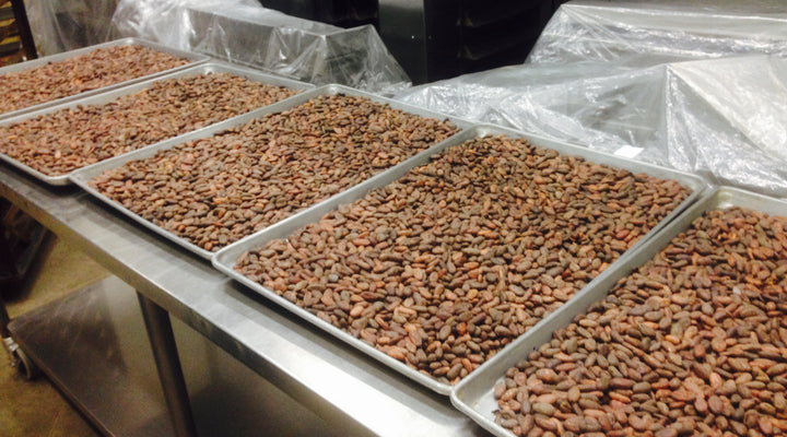 New shipment of beans!